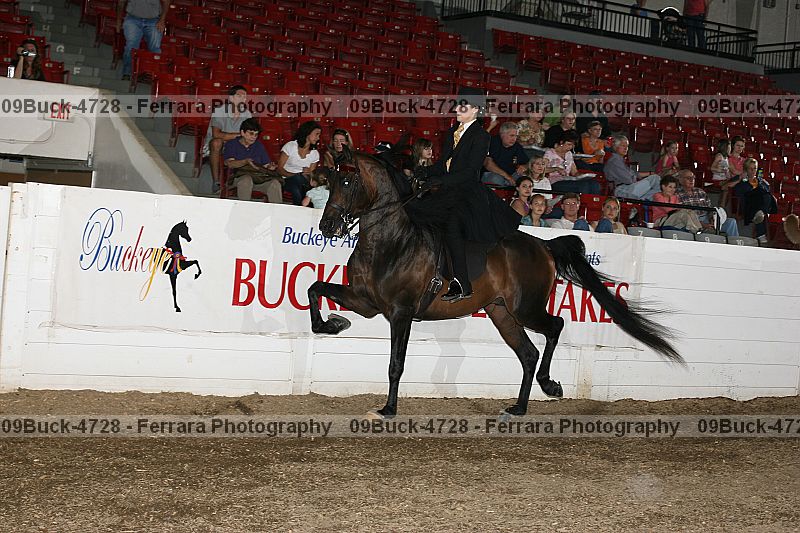 Proof 09buck-4728