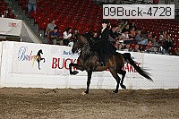 09buck-4728 proof