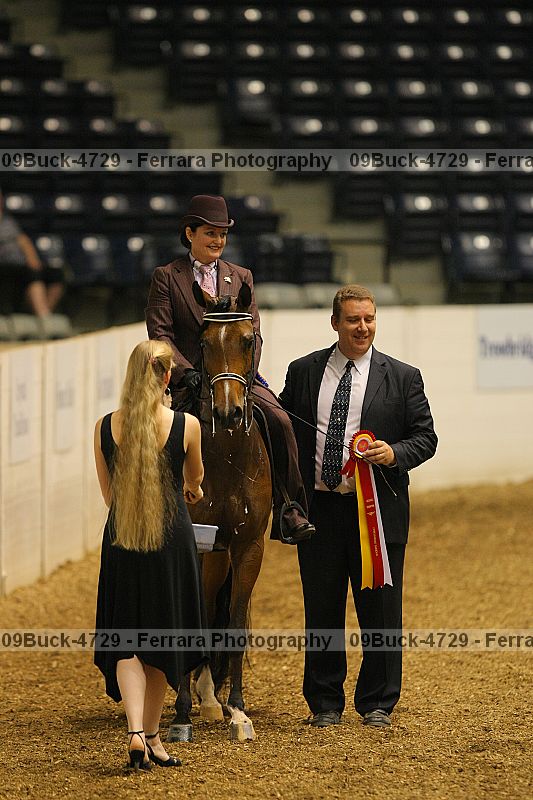 Proof 09buck-4729