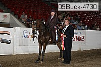 09buck-4730 proof