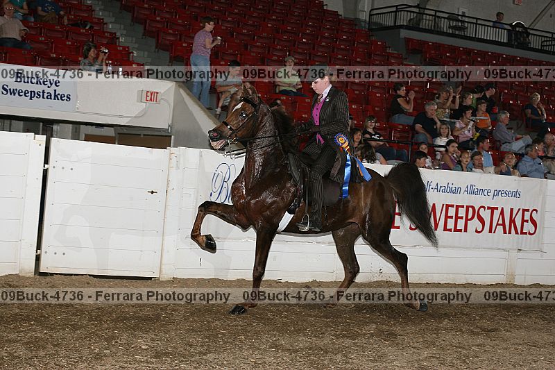 Proof 09buck-4736