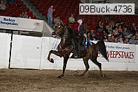 09buck-4736 proof
