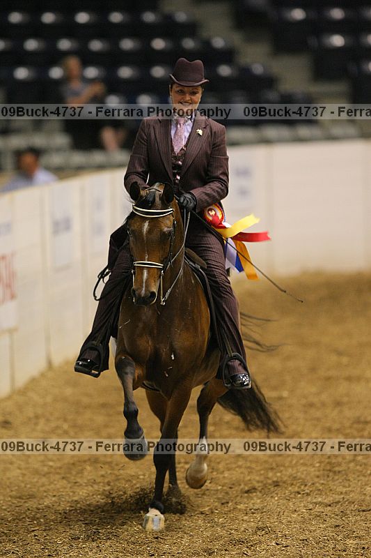 Proof 09buck-4737