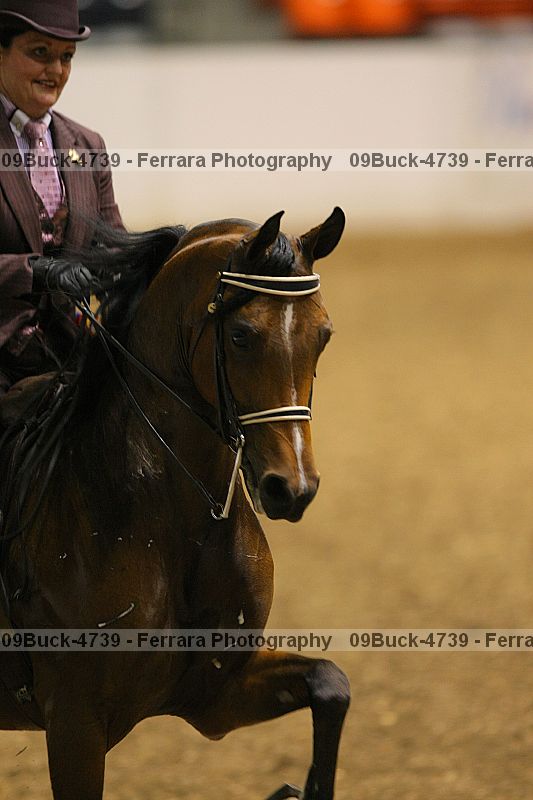 Proof 09buck-4739
