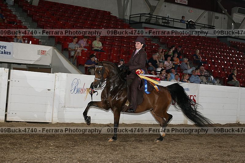 Proof 09buck-4740