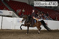 09buck-4740 proof