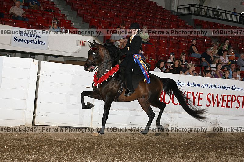 Proof 09buck-4745