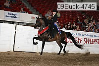 09buck-4745 proof
