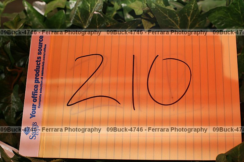 Proof 09buck-4746