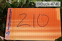 09buck-4746 proof