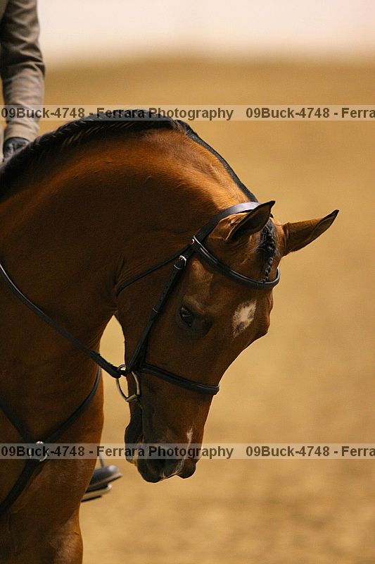 Proof 09buck-4748