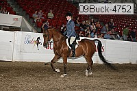 09buck-4752 proof
