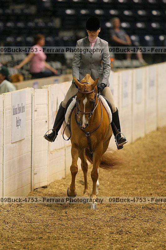 Proof 09buck-4753