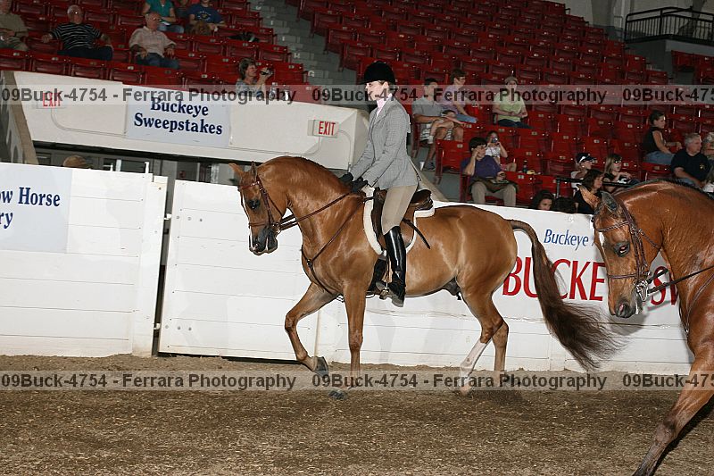 Proof 09buck-4754