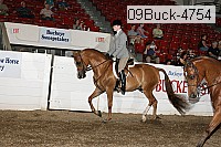 09buck-4754 proof