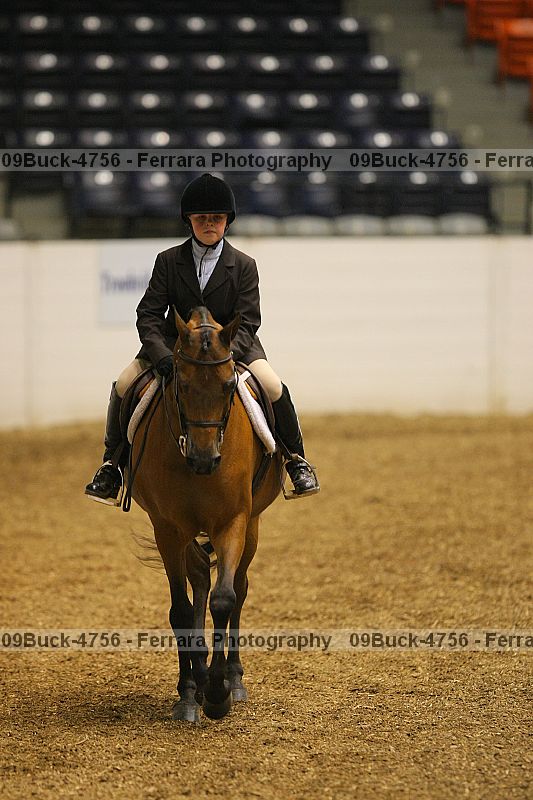 Proof 09buck-4756