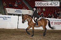 09buck-4757 proof