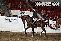 09buck-4759 proof