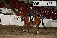09buck-4761 proof