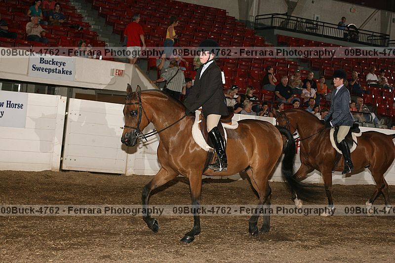 Proof 09buck-4762