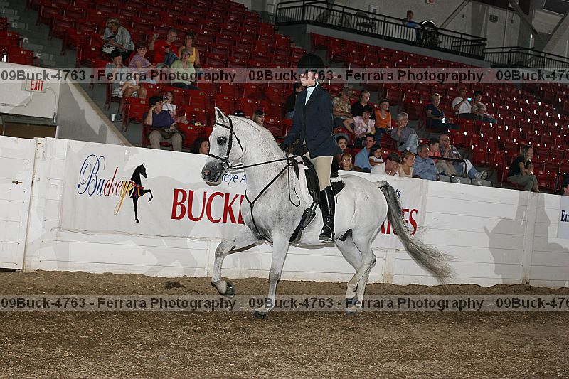 Proof 09buck-4763