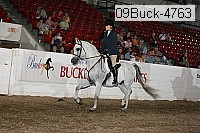 09buck-4763 proof