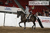 09buck-4766 proof