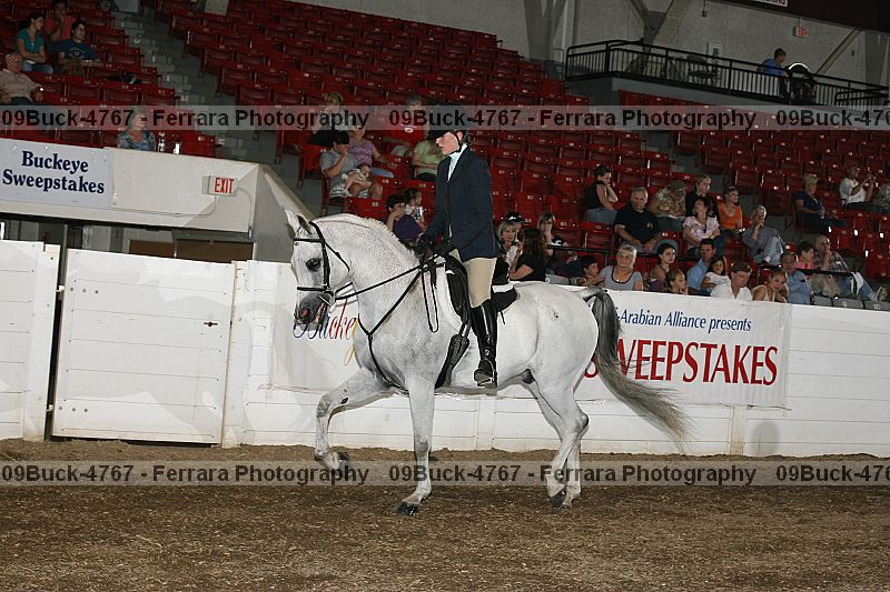 Proof 09buck-4767