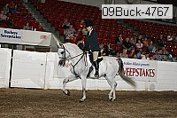 09buck-4767 proof