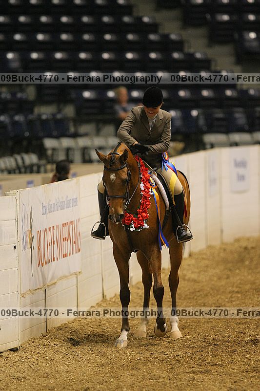 Proof 09buck-4770