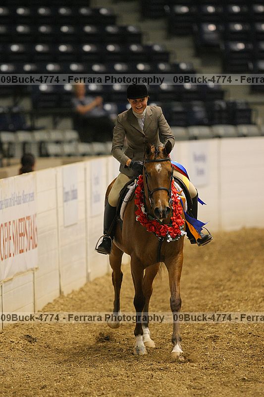 Proof 09buck-4774