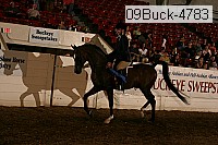09buck-4783 proof