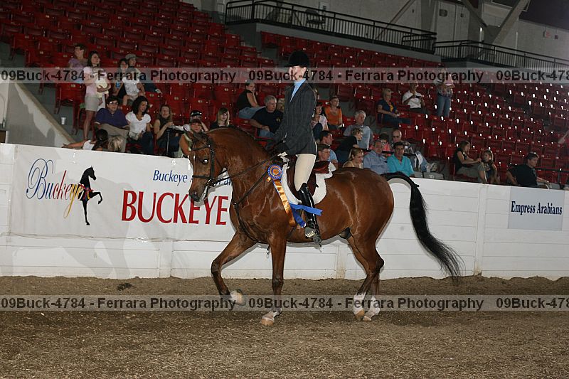 Proof 09buck-4784