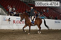 09buck-4784 proof