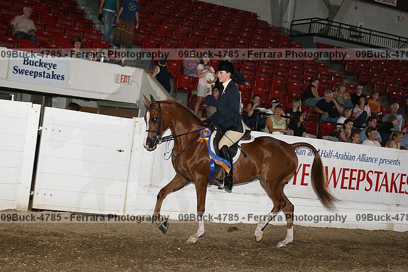 Proof 09buck-4785