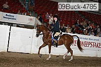 09buck-4785 proof