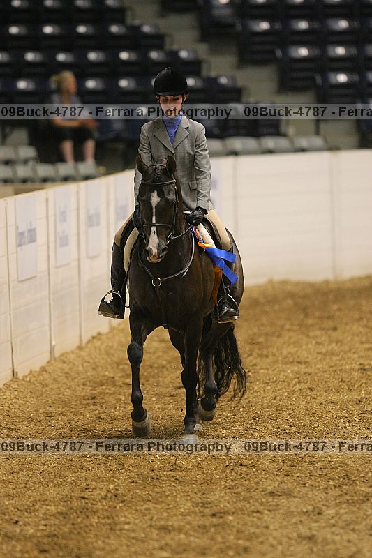 Proof 09buck-4787