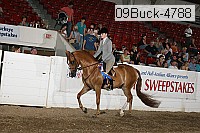 09buck-4788 proof