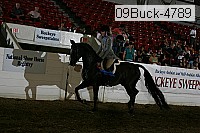 09buck-4789 proof