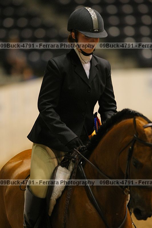 Proof 09buck-4791