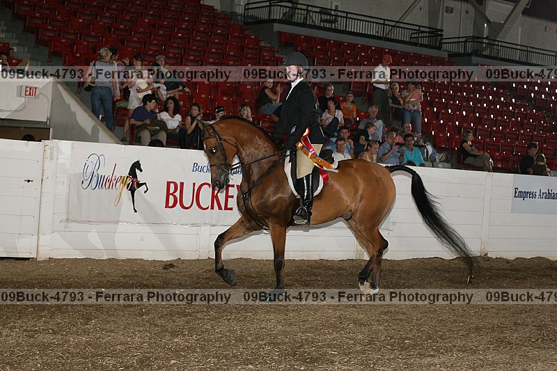 Proof 09buck-4793