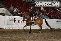 09buck-4793 proof