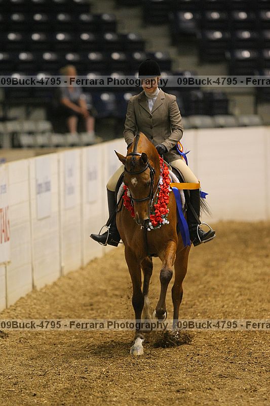 Proof 09buck-4795