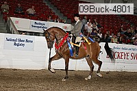09buck-4801 proof