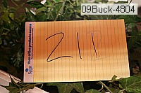 09buck-4804 proof
