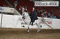 09buck-4806 proof
