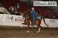 09buck-4808 proof