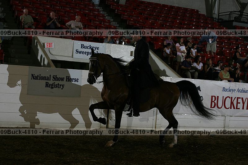 Proof 09buck-4810
