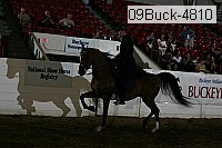 09buck-4810 proof