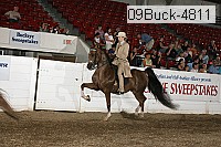 09buck-4811 proof